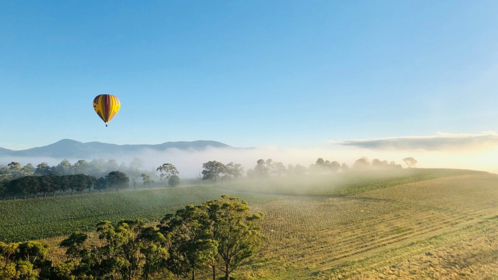 A hot air balloon floating over vineyards in Yarra Valley, near Melbourne. 