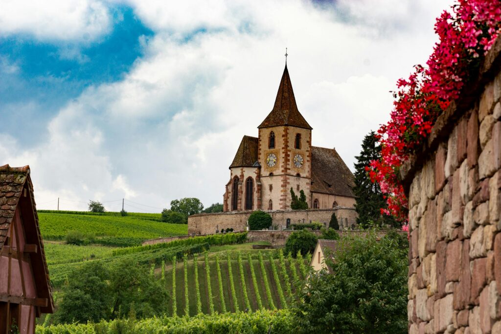 Church and vineyards in Ribeauvillé in the Alsace wine region of France